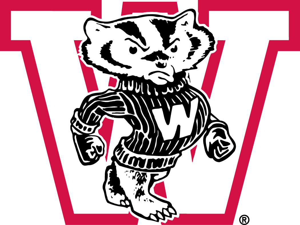 Wisconsin Badgers 1948-1956 Primary Logo iron on transfers for clothing
